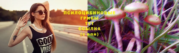 ALPHA-PVP Магадан