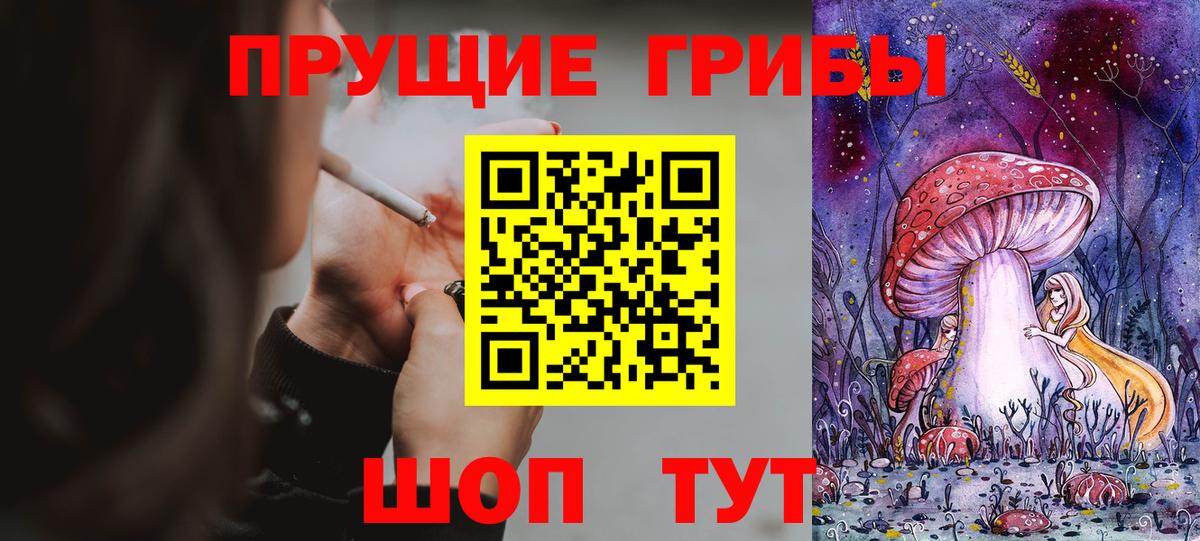 Галлюциногенные грибы MAGIC MUSHROOMS Кингисепп