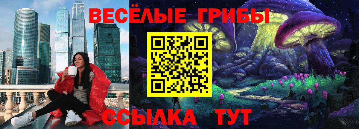 наркотики  Галлюциногенные грибы мицелий  Вход с VPN  Кингисепп 