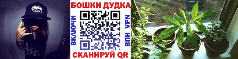 kraken онион  Кингисепп  Шишки марихуана сатива  цена наркотик 