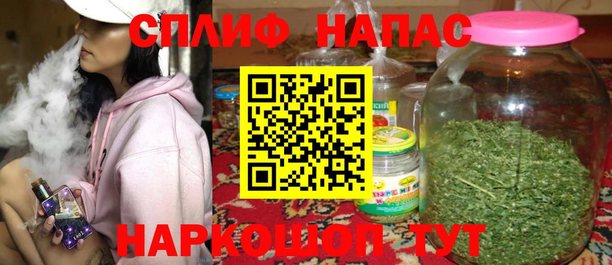 Конопля план Кингисепп